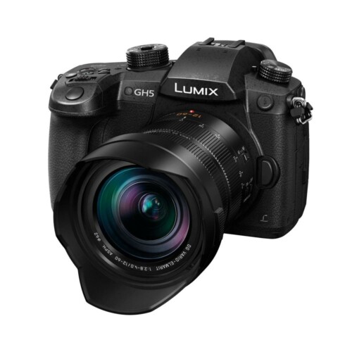 Panasonic GH5   Leica DG 12-60mm f/2.8-4.0 ASPH OIS